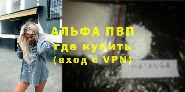 ECSTASY Белокуриха