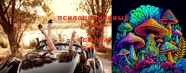 ECSTASY Белокуриха